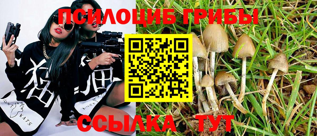 Псилоцибиновые грибы мицелий Белая Калитва
